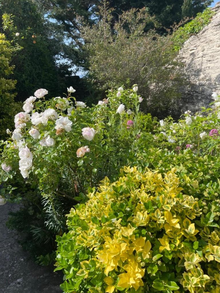 La Borie En Provence Bed & Breakfast กอร์ด ภายนอก รูปภาพ