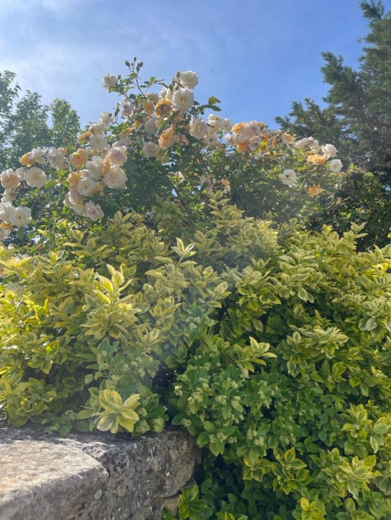 La Borie En Provence Bed & Breakfast กอร์ด ภายนอก รูปภาพ