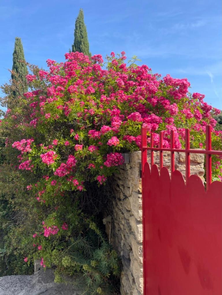 La Borie En Provence Bed & Breakfast กอร์ด ภายนอก รูปภาพ