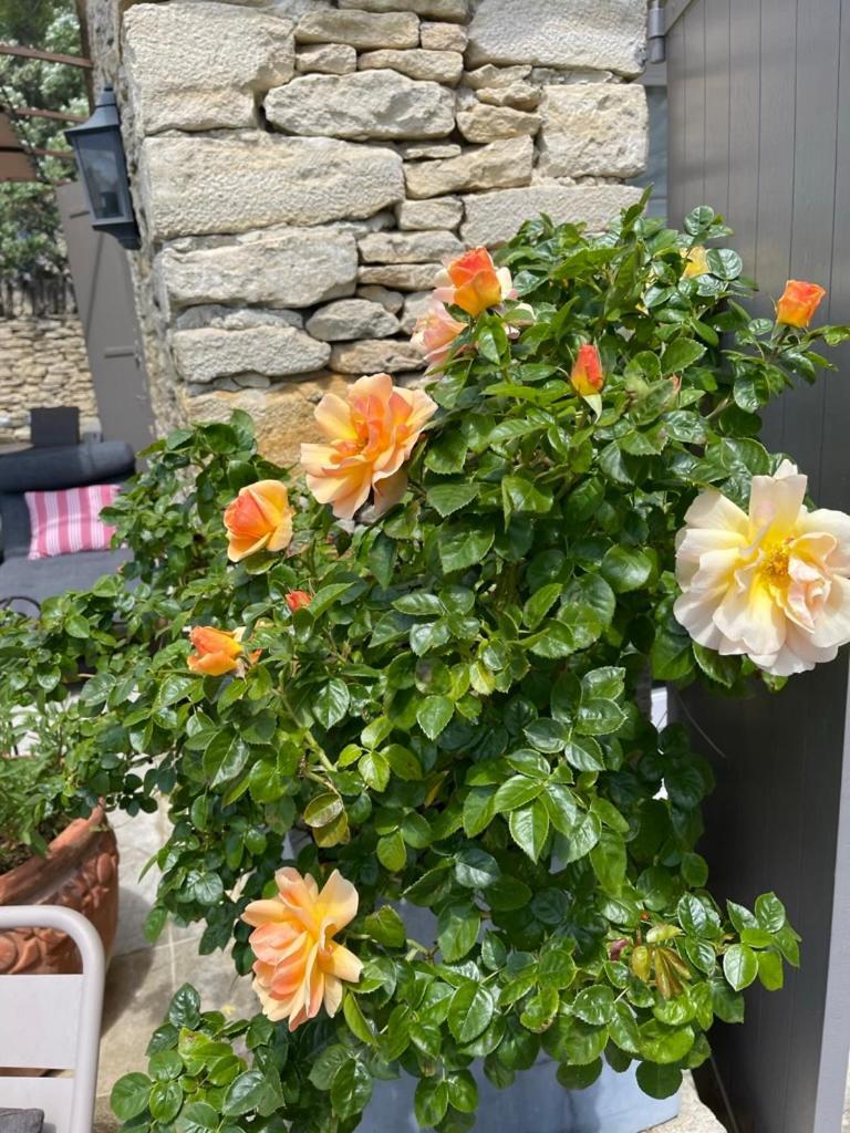 La Borie En Provence Bed & Breakfast กอร์ด ภายนอก รูปภาพ