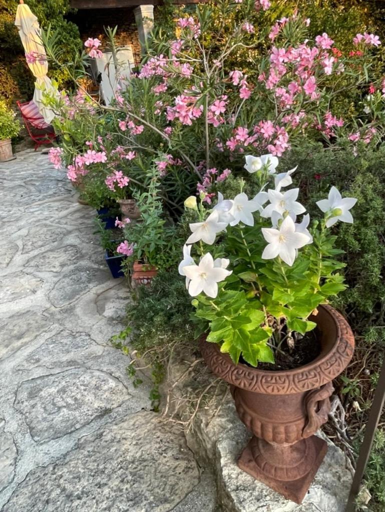 La Borie En Provence Bed & Breakfast กอร์ด ภายนอก รูปภาพ