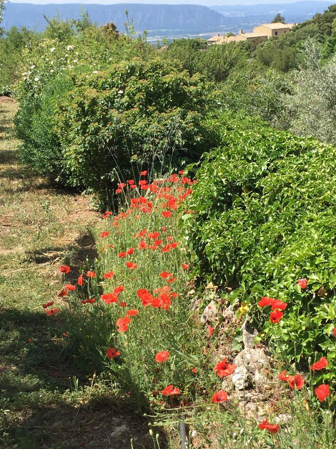 La Borie En Provence Bed & Breakfast กอร์ด ภายนอก รูปภาพ